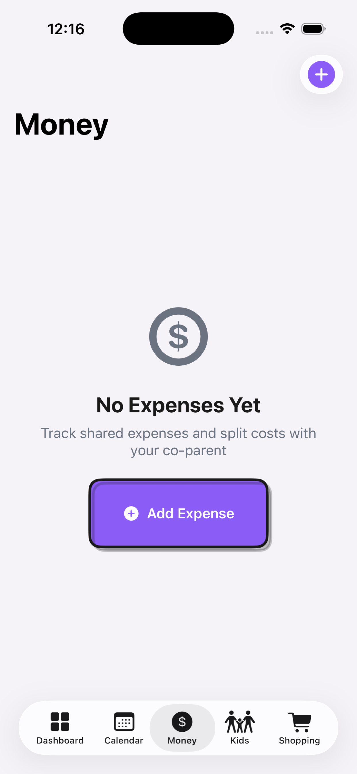 Pairently expenses view